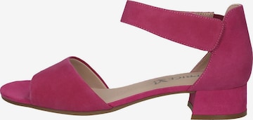 CAPRICE Sandals in Pink