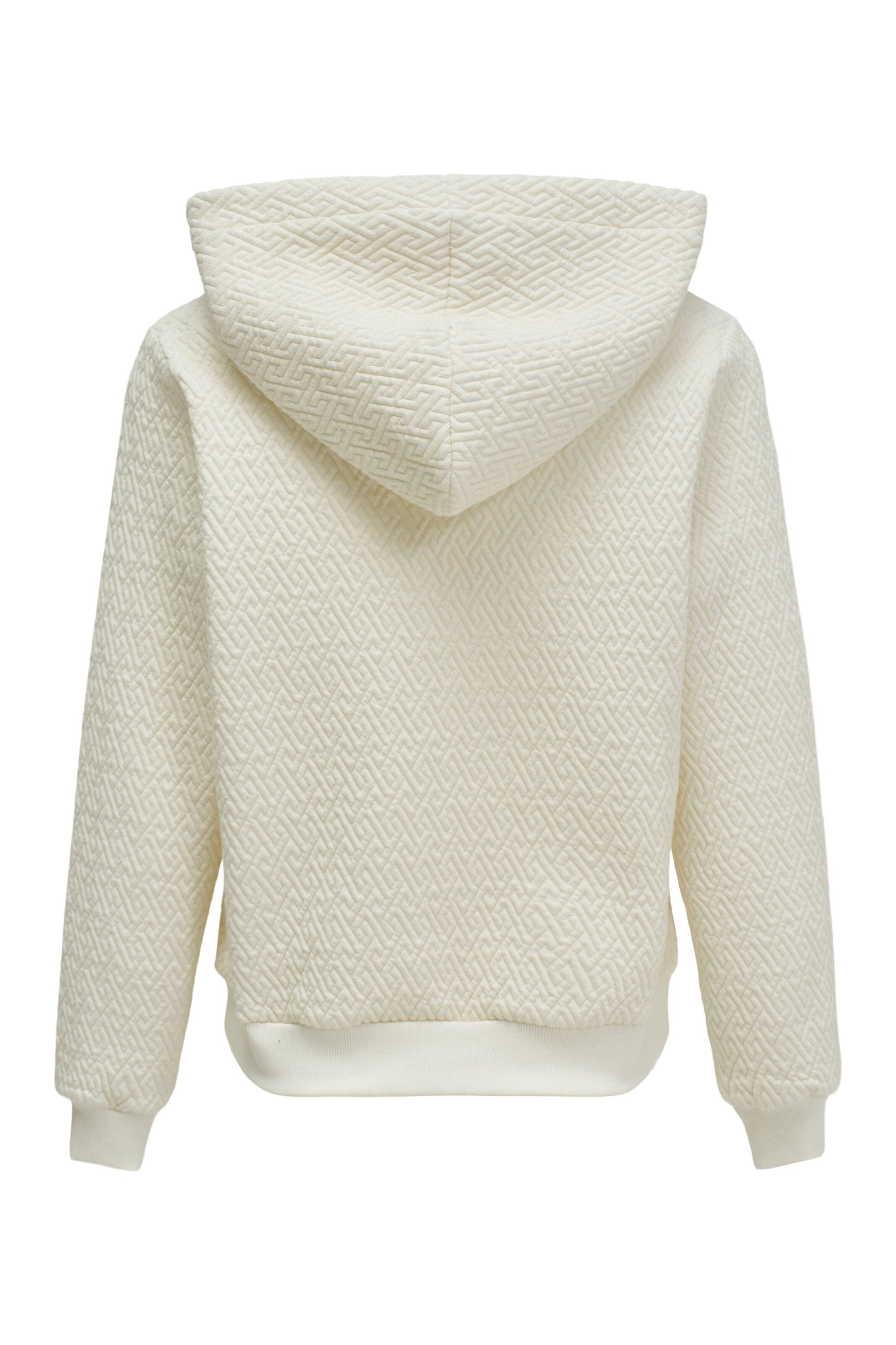Salsa Jeans Sweatshirt in Beige