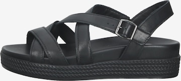 Bama Sandalen met riem in Zwart