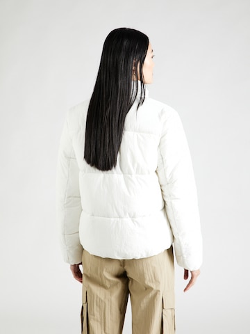 Veste mi-saison Champion Authentic Athletic Apparel en gris
