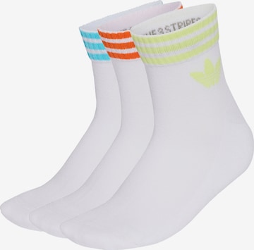 Calzino di ADIDAS ORIGINALS in bianco: frontale