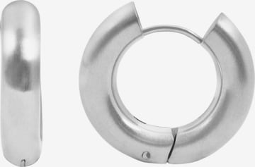 Akzent Earrings 'Salita, langlebig' in Silver: front