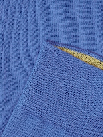 Von Jungfeld Socks 'SIGNATURE Set' in Blue