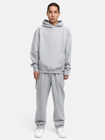 Daily Cotton Sweatshirt 'DCAUSTIN' in Grey