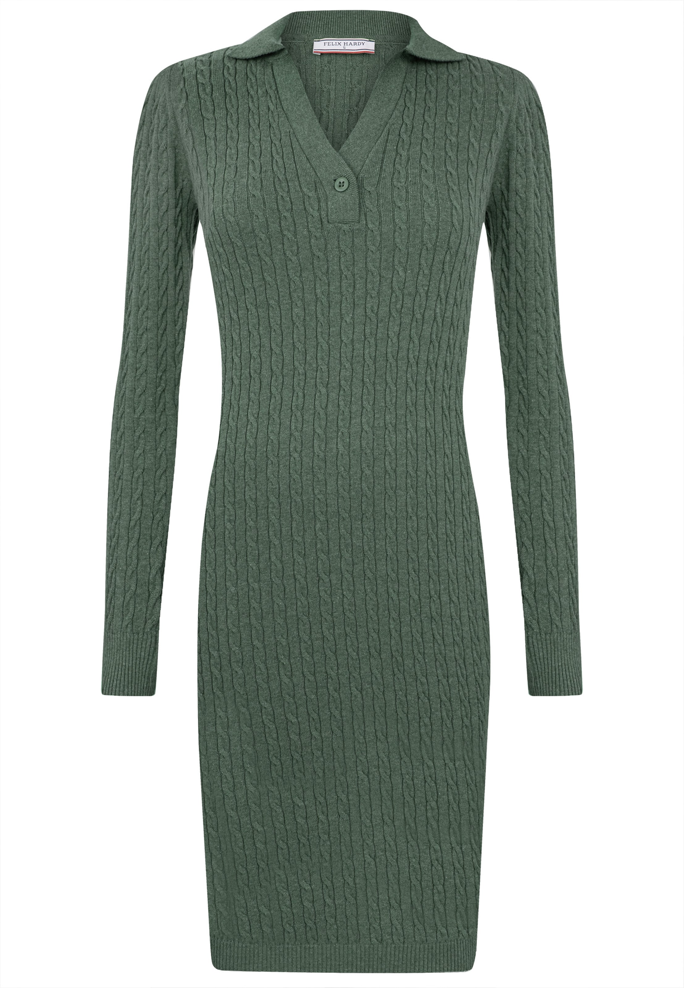 Felix Hardy Kleid in Grün: Vorderseite
