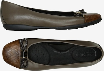 GEOX Flats & Loafers in 39 in Brown: front
