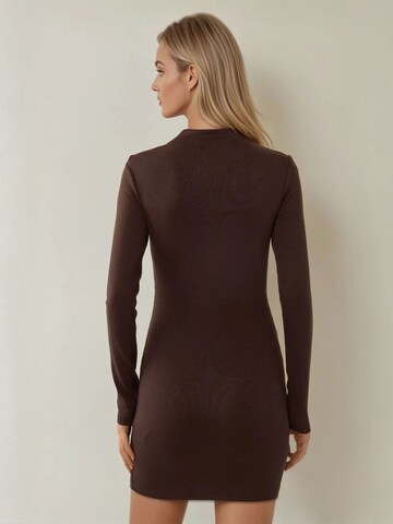 Hiccup Jurk in Bruin