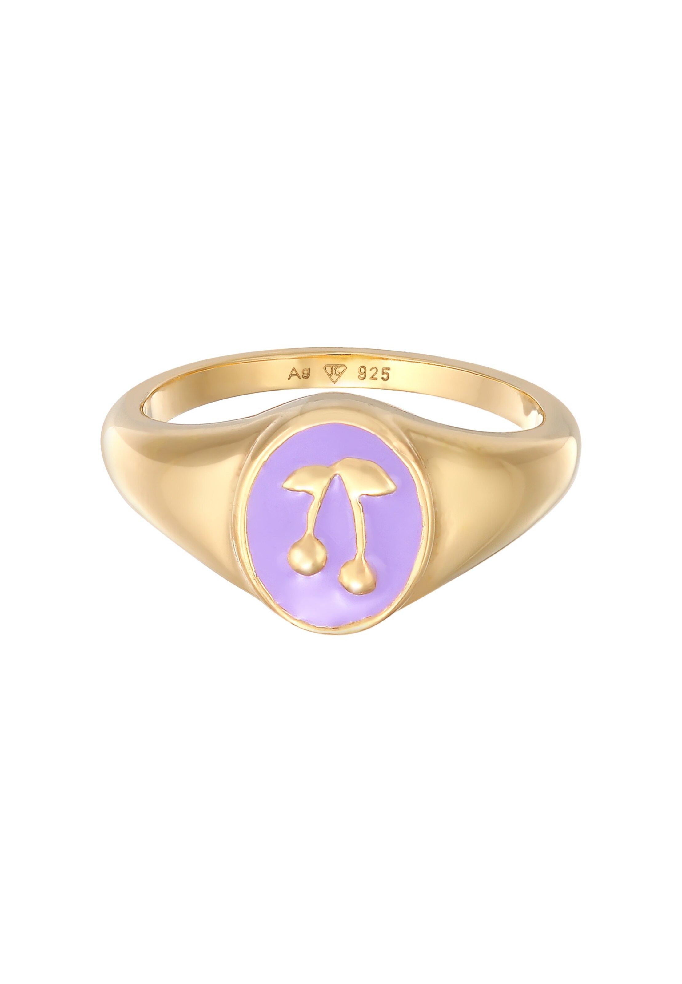 ELLI Ring 'Siegelring' in Goud