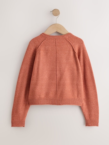 Pullover di Next in marrone