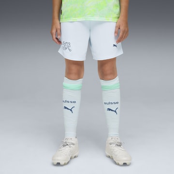 PUMA Regular Sportbroek 'Schweiz 2026' in Blauw: voorkant