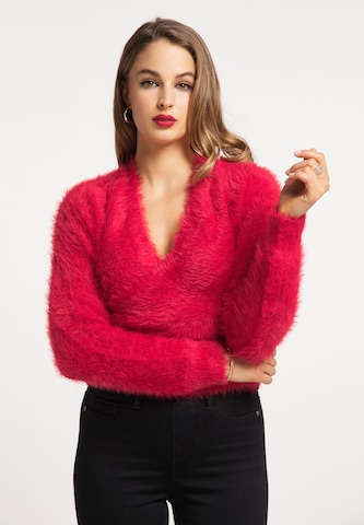 faina Sweater in Pink: front