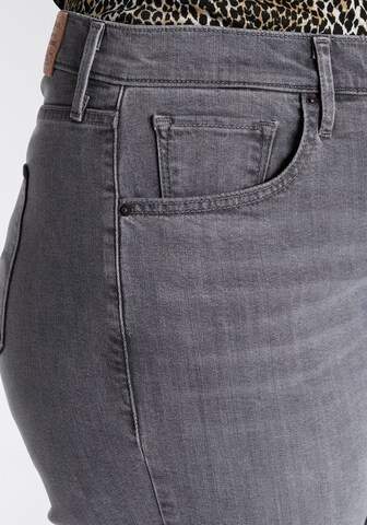 Levi's® Plus Regular Jeans in Grey