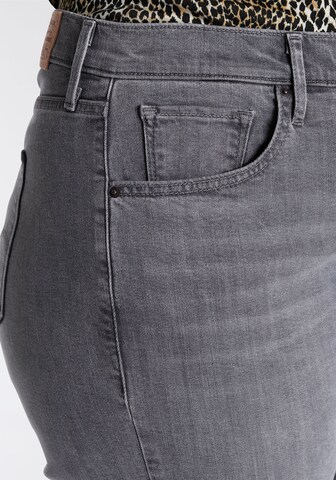 Levi's® Plus Regular Jeans in Grau