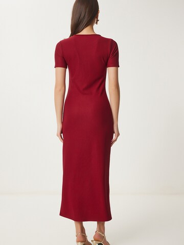 Happiness İstanbul Obleka | rdeča barva