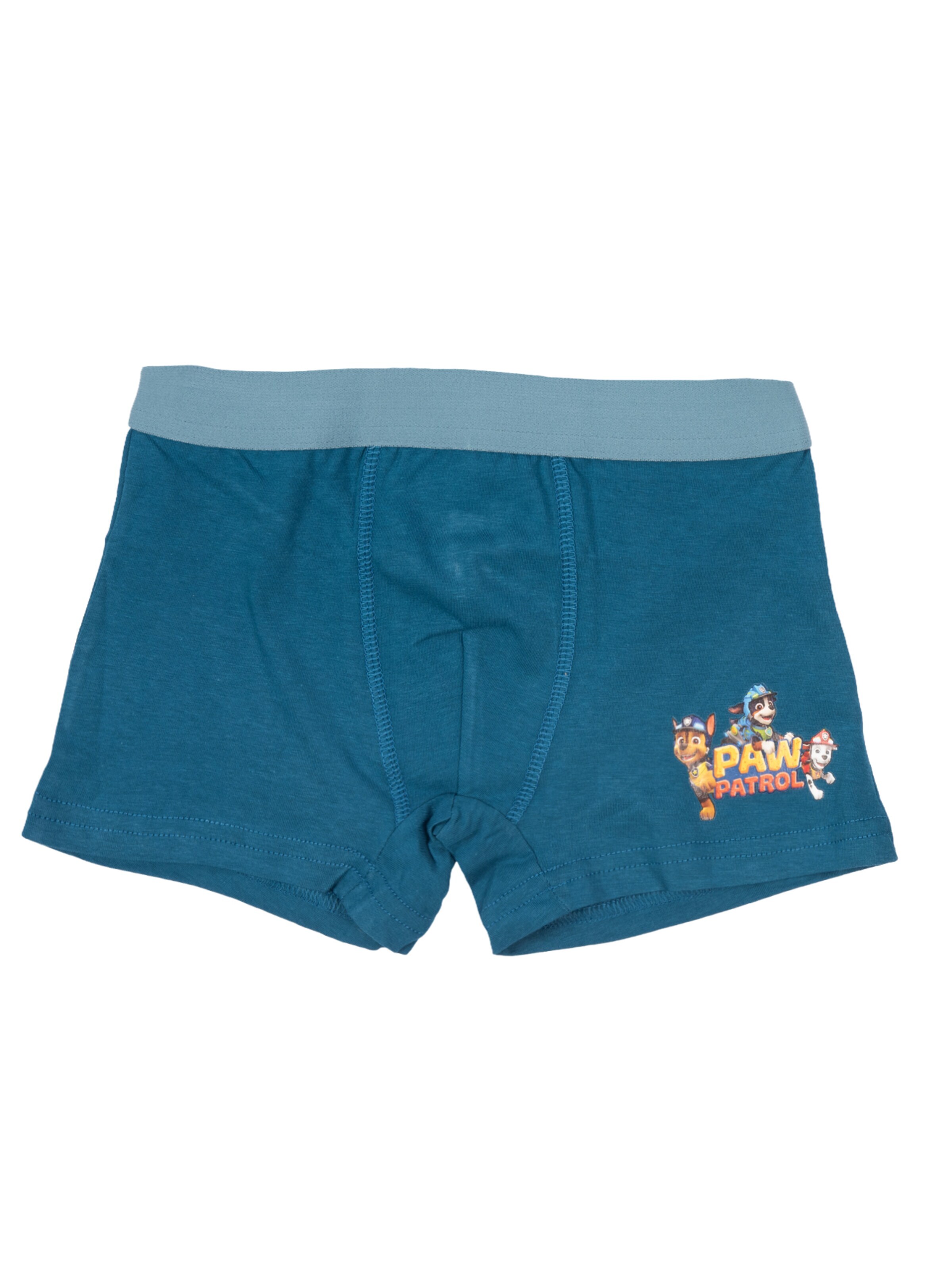 Paw Patrol Underpants in Mixed colours
