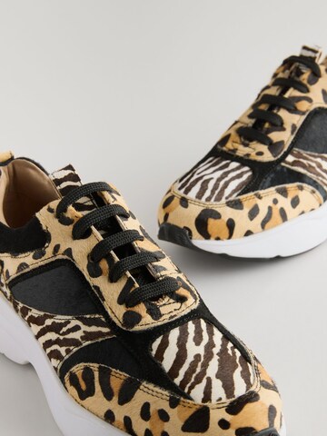 Sneaker bassa di Next in marrone
