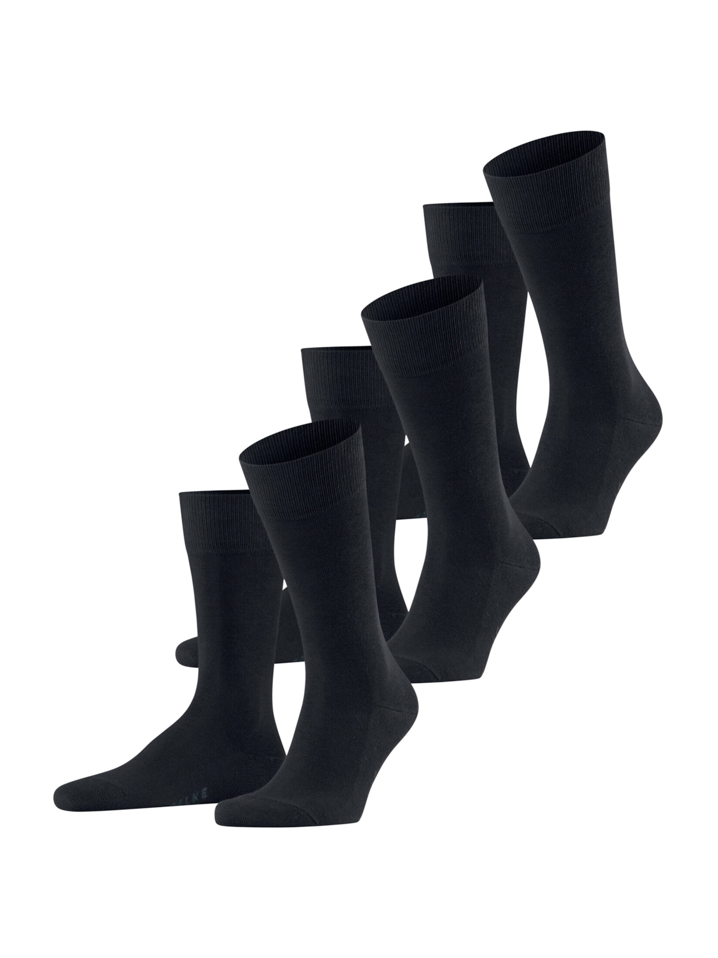 FALKE Socks 'Family' in Blue