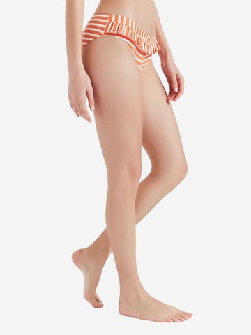 Penti Dół bikini 'Bikinihosen' w kolorze mieszane kolory