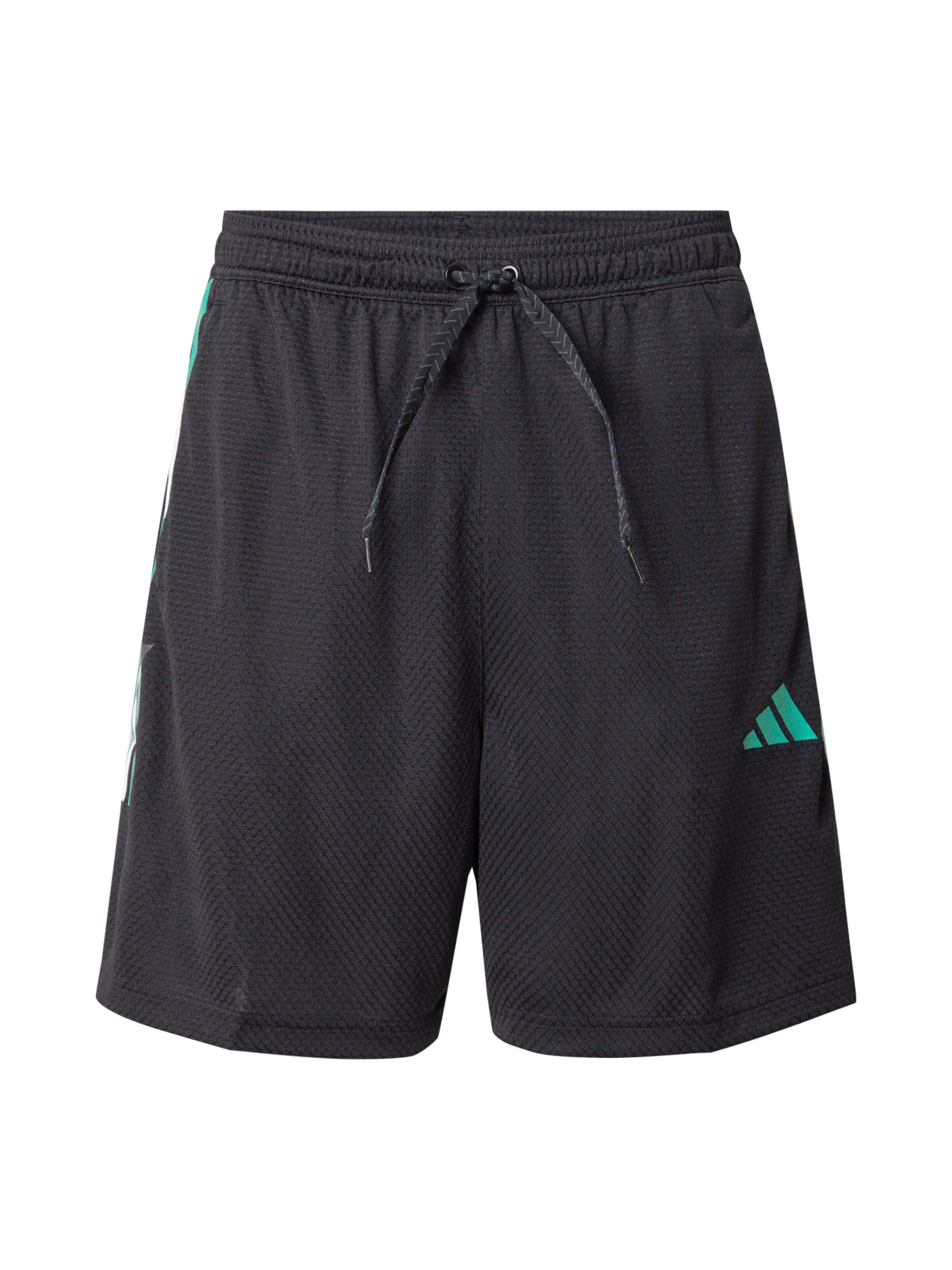 ADIDAS SPORTSWEAR Παντελόνι φόρμας 'TIRO' σε μαύρο: μπροστά