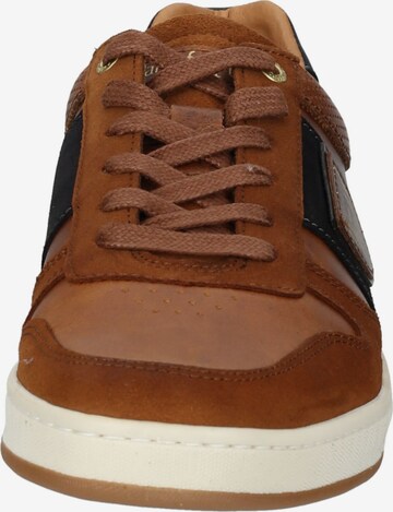 PANTOFOLA D'ORO Sneakers 'Palermo' in Brown