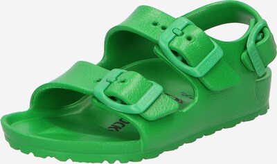 BIRKENSTOCK Åpne sko 'Milano' i grønn, Produktvisning