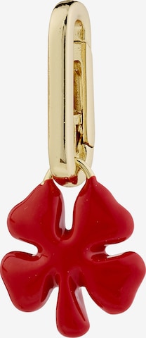 zelts Pilgrim Piekariņi 'Clover ': no priekšpuses