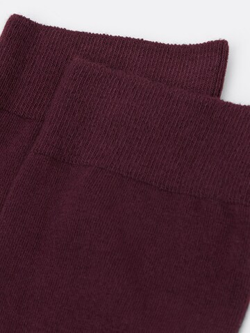 CALZEDONIA Socks in Red