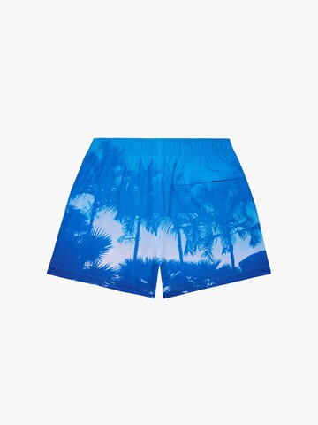 BLUE SKY INN Board Shorts in Blue