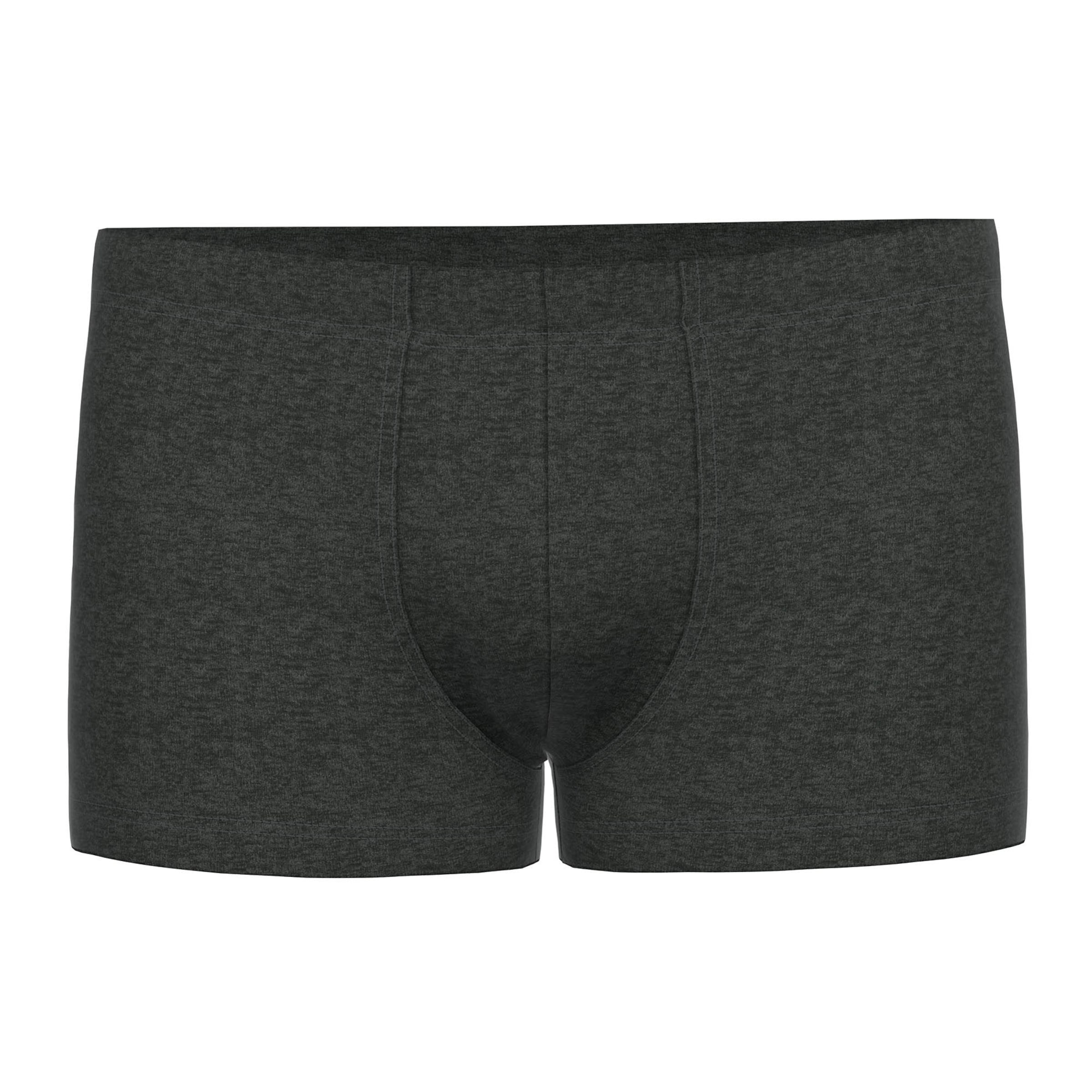 SEIDENSTICKER Boxer shorts in Mixed colours