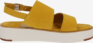 Sandalo con cinturino di MARCO TOZZI in giallo