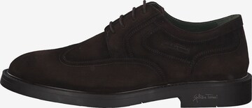 Galizio Torresi Lace-Up Shoes '312838' in Brown