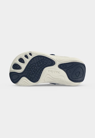 GEOX Superge | modra barva