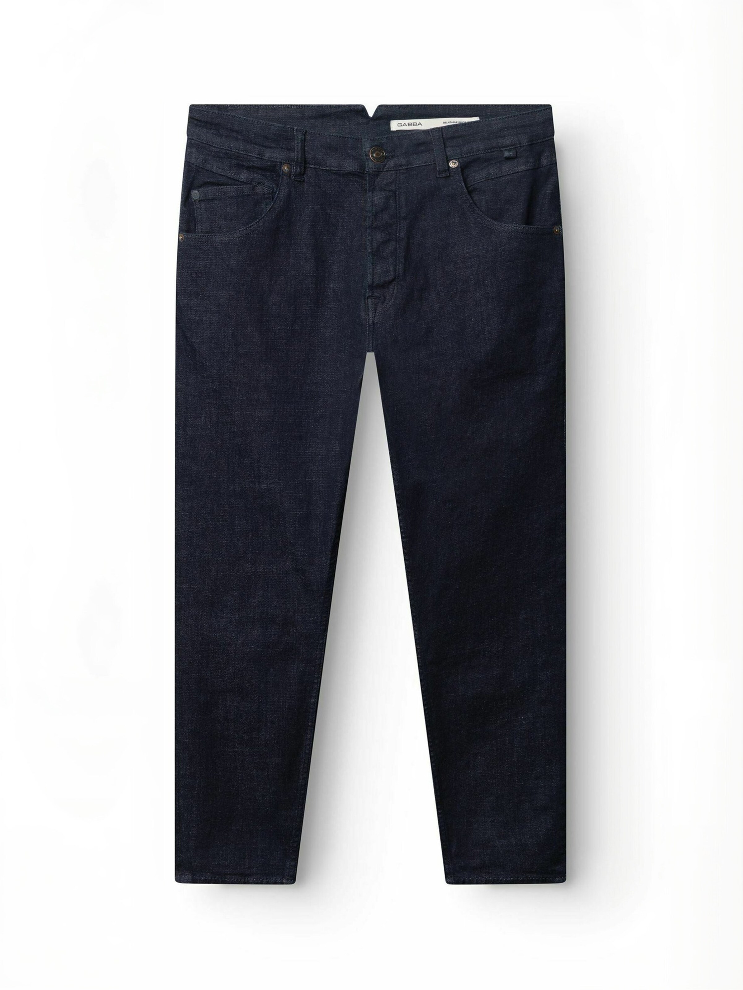 GABBA Regular Jeans ' GABalex ' in Blue: front