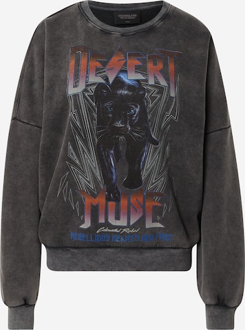 Colourful Rebel Sweatshirt 'Desert Muse' in Grey: front