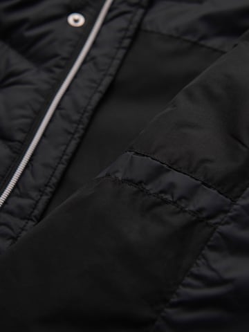 Ombre Winter Jacket in Black