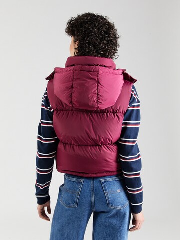 Tommy Jeans Weste 'ALASKA' in Lila