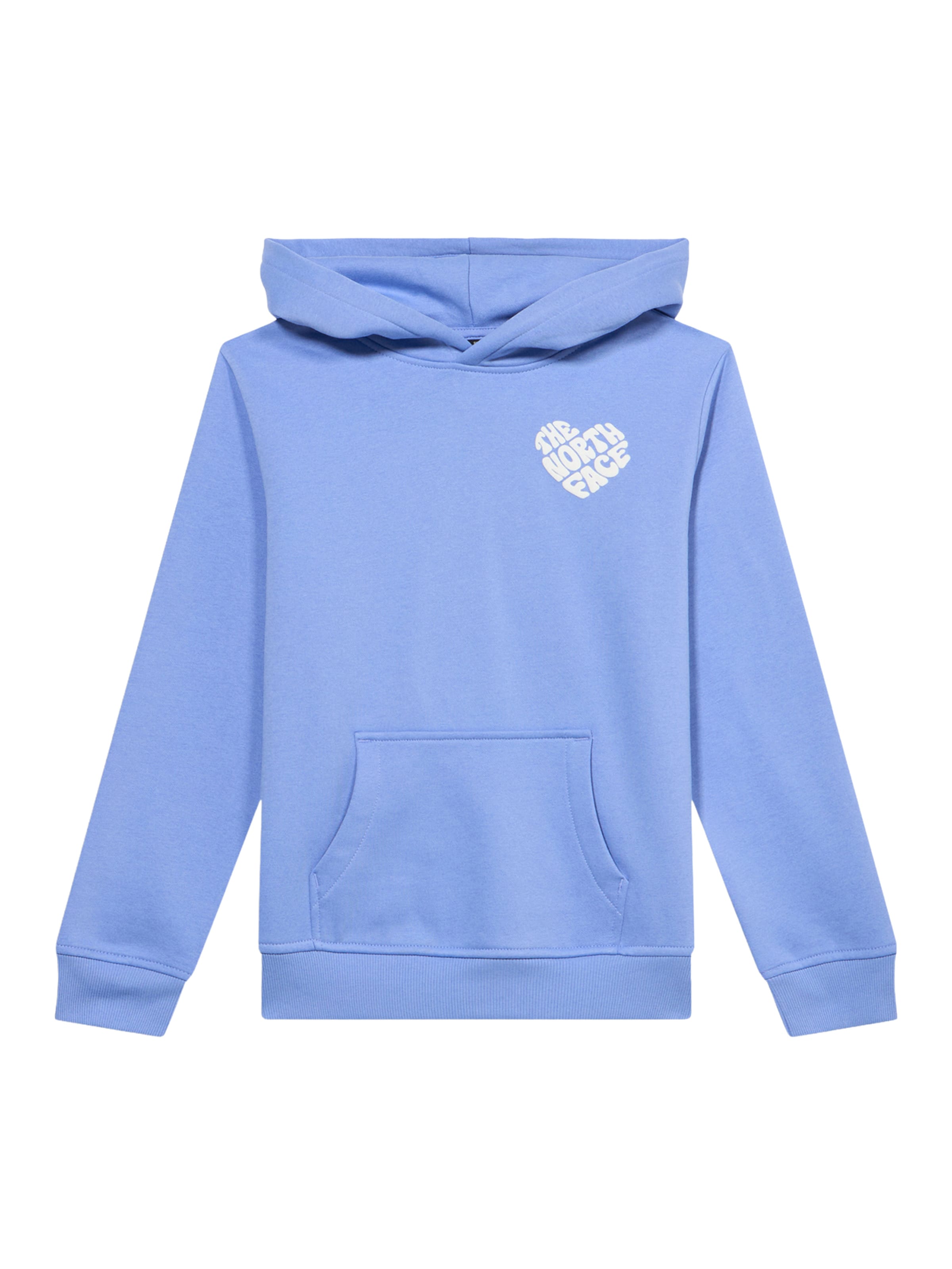 THE NORTH FACE Bluzka sportowa 'BRAND PROUD' w kolorze fioletowy: przód