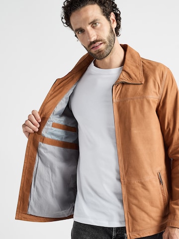 JCC Tussenjas in Bruin