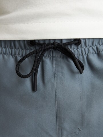 Shorts de bain 'Soll' CHASIN' en gris