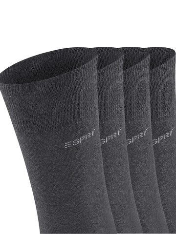 ESPRIT Socks 'Solid 4-Pack' in Grey