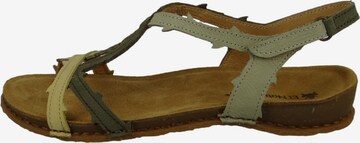 EL NATURALISTA Sandalen met riem in Groen