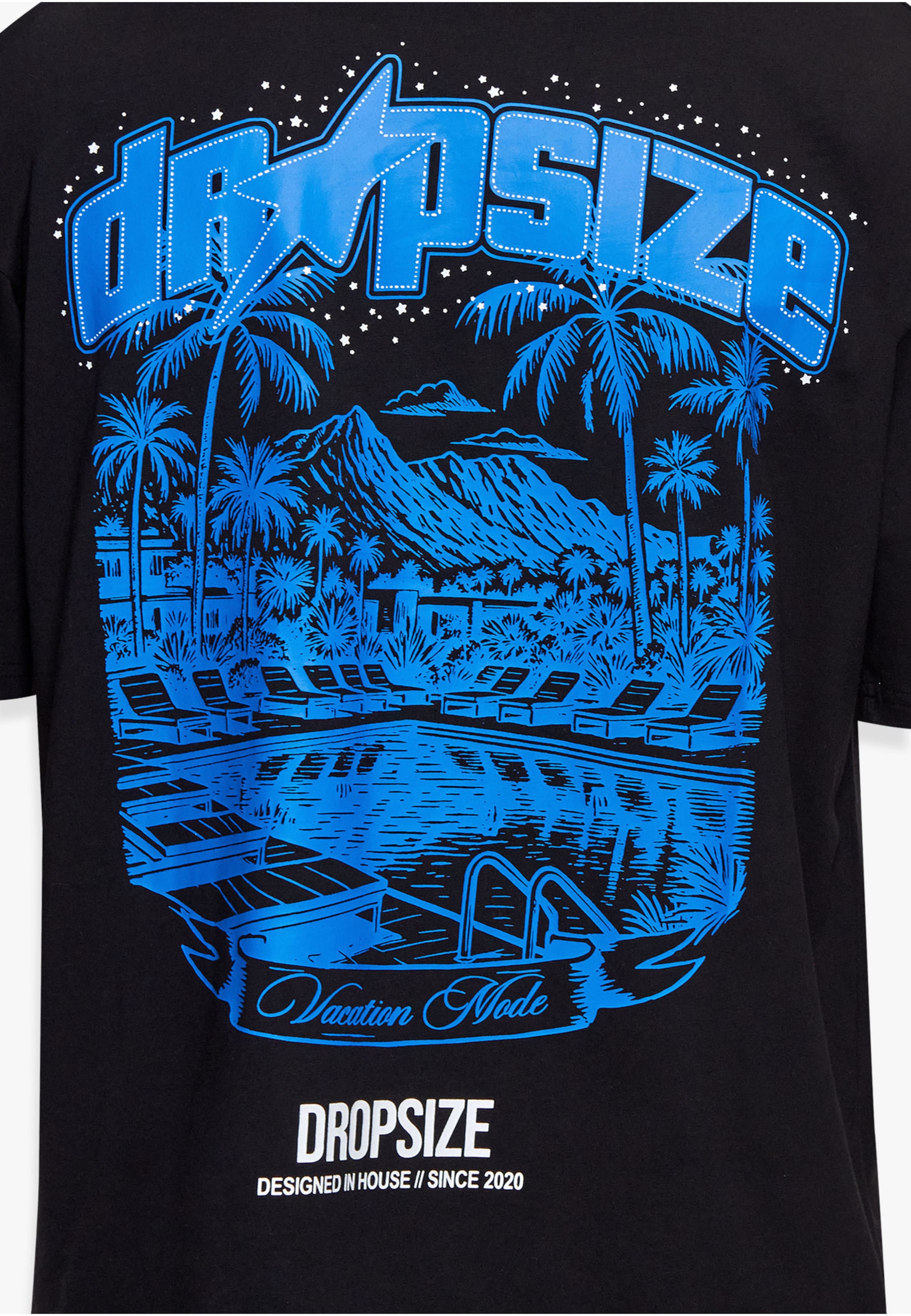 Dropsize Koszulka w kolorze czarny