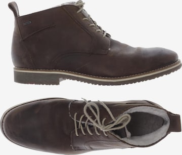 LLOYD Anke & Mid-Calf Boots in 42,5 in Brown: front