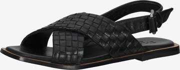 SHABBIES AMSTERDAM Sandals in Black: front