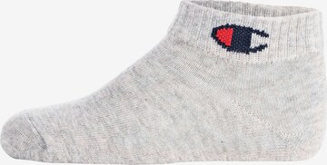 Champion Authentic Athletic Apparel Socks in Mixed colors