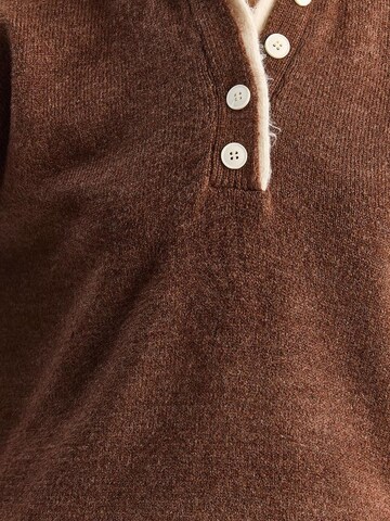 Bianco Lucci Pullover 'Pullover'‌‌‌‌ in Braun