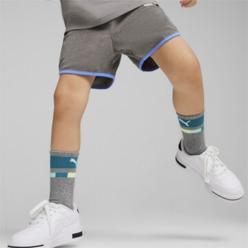 PUMA Regular Pants 'Summer Camp' in Grey: front