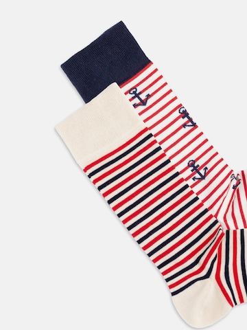 Chaussettes 'French Riviera' DillySocks en mélange de couleurs
