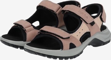 IMAC Sandals in Brown