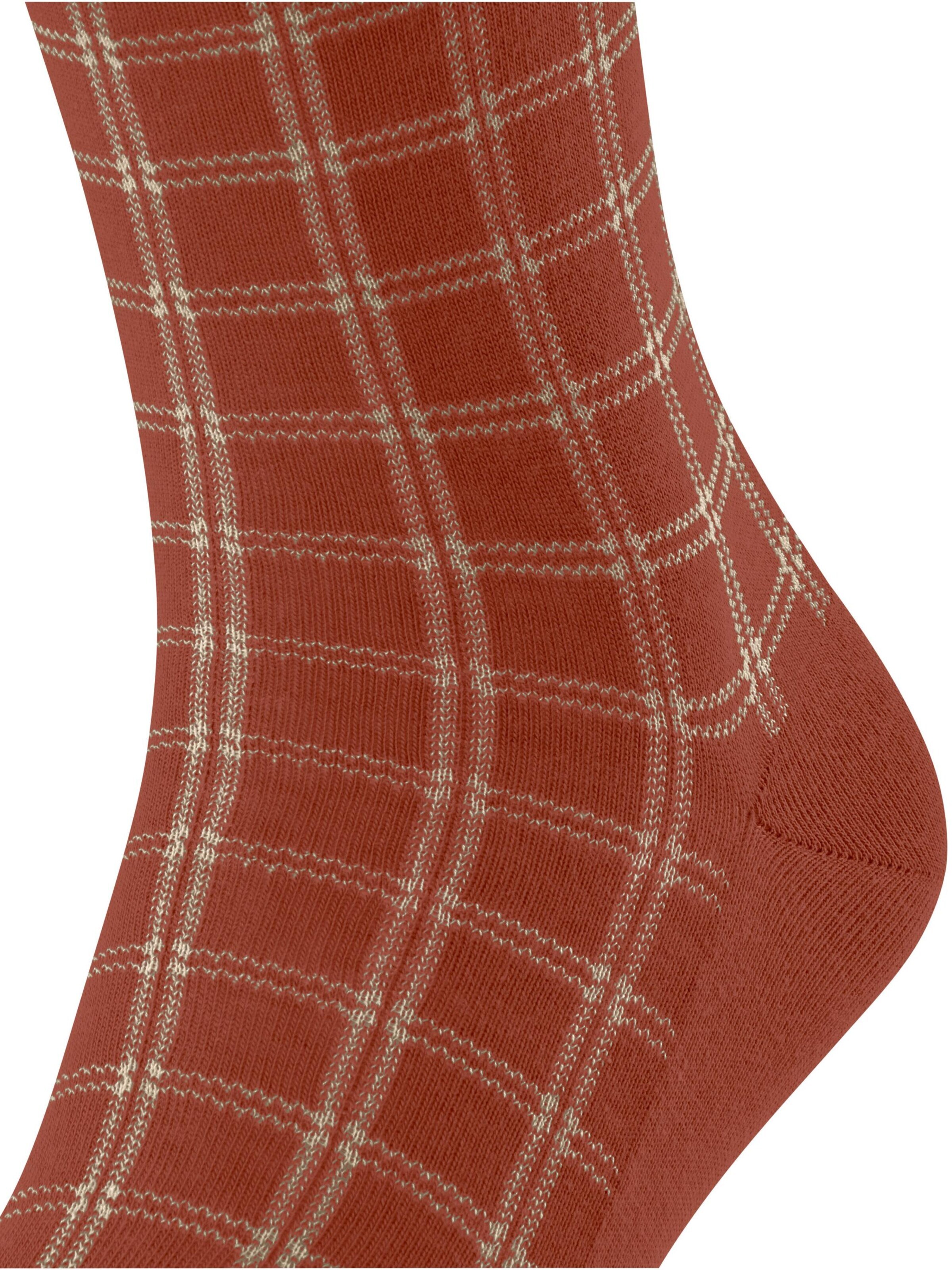 FALKE Socks in Brown